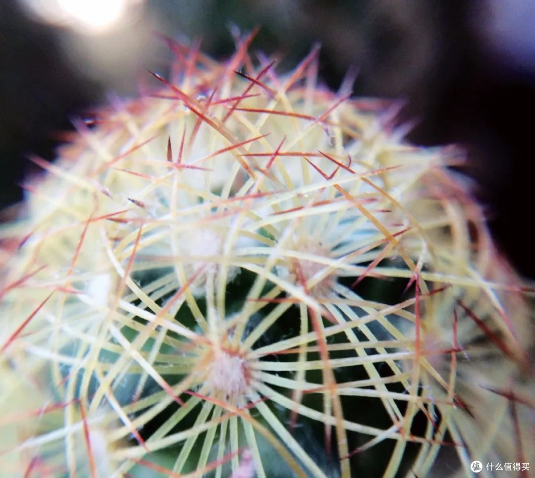  7个妙招，让你的拍照水平上一个台阶