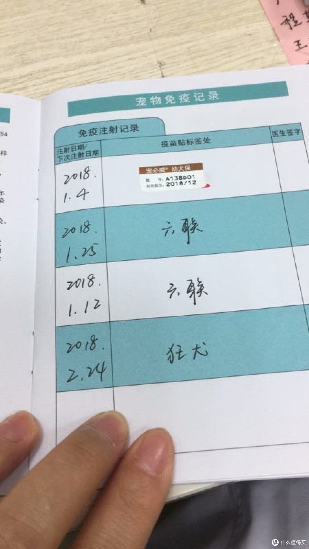 我的狗子小黑