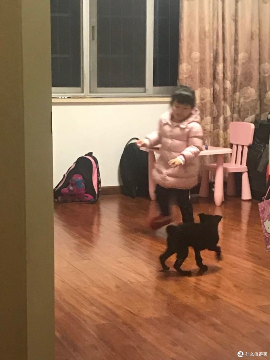 我的狗子小黑