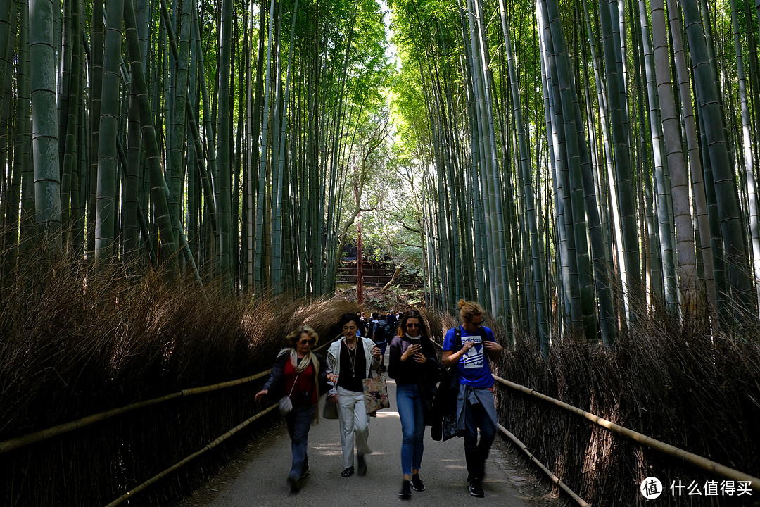 天龙寺和大河内山庄之间的著名竹林