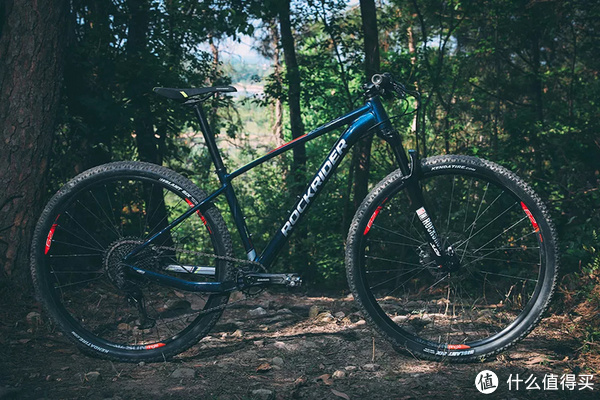 rockrider xc50 eagle