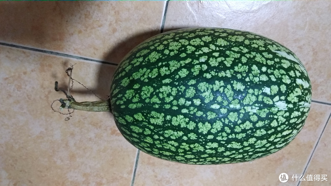 传说中的鱼翅瓜,我们这边都不算经常见,但是我都吃过好多次了