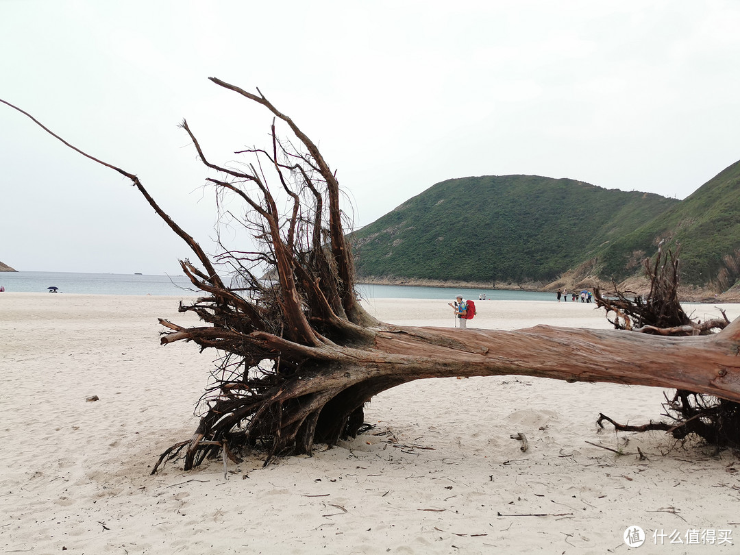 假期去哪玩？香港麦理浩径走全程！+ 超详细攻略