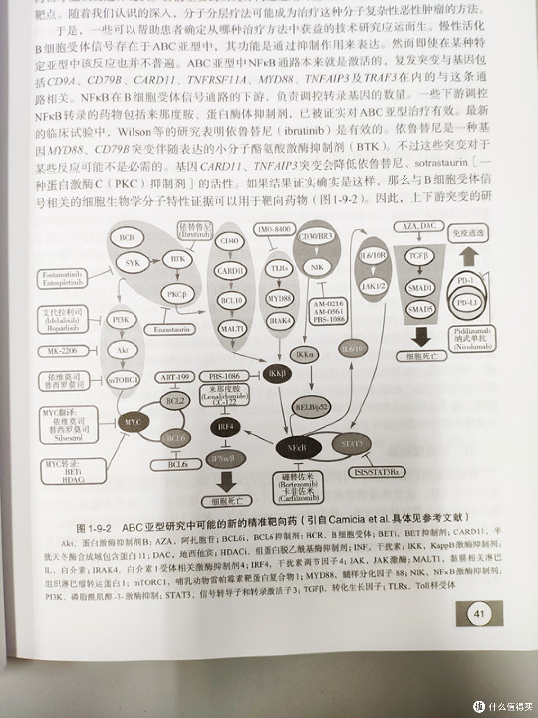 靶向药研究