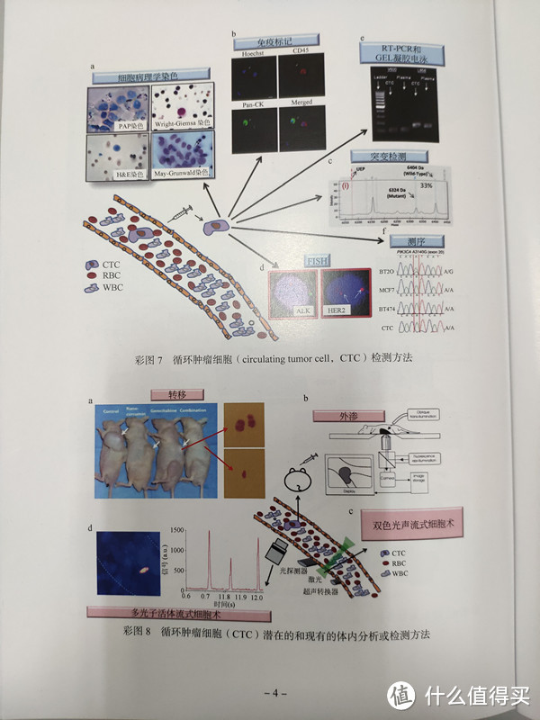 最后几页彩图，介绍了一下CTC的检测方法等