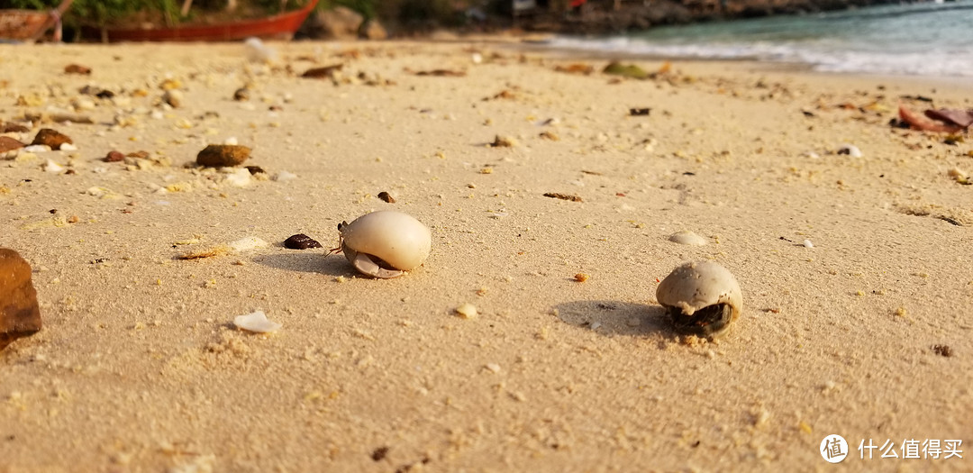 泰国普吉皮皮清迈香港四地16天吃喝玩乐亲子游---皮皮岛，亲子游的天堂