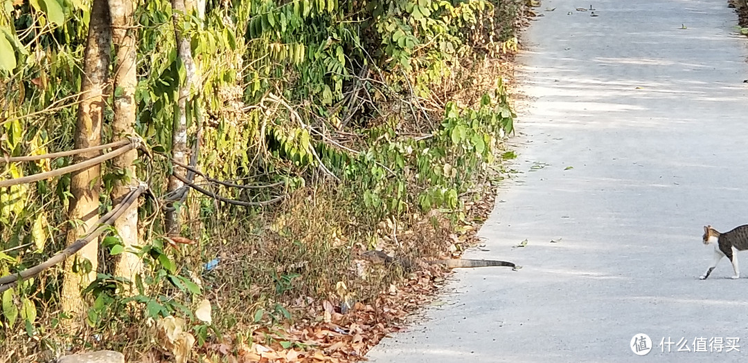 泰国普吉皮皮清迈香港四地16天吃喝玩乐亲子游---皮皮岛，亲子游的天堂