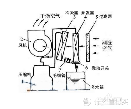 一小时实测除湿机和空调的除湿效果，并给你一些除湿机的选购建议