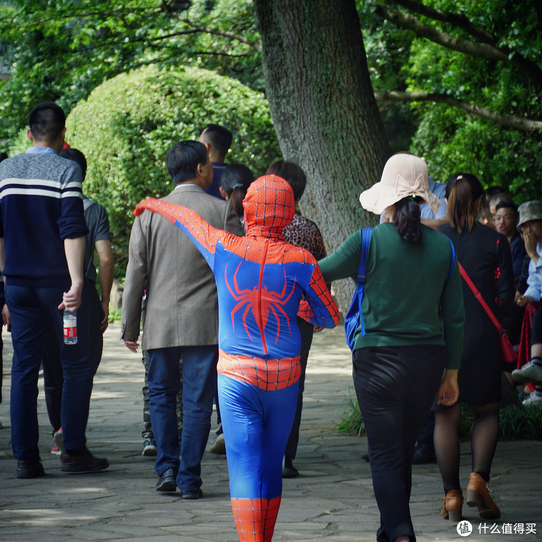 遇见无锡·一座不知充满温情和水的城市