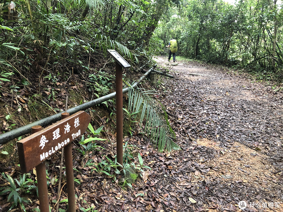 假期去哪玩？香港麦理浩径走全程！+ 超详细攻略