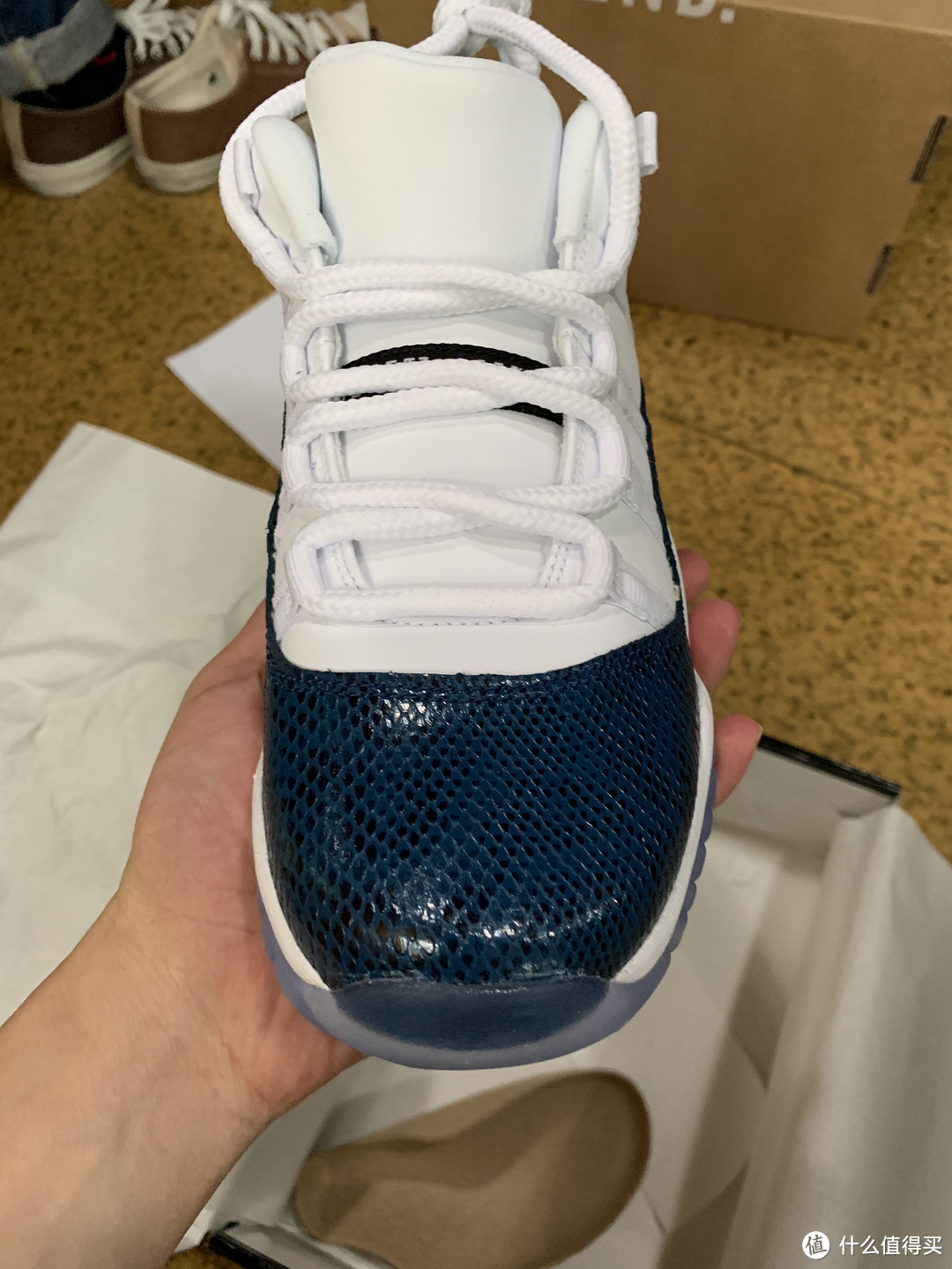 今年首个低帮配色！蓝蛇 Air Jordan 11 Low