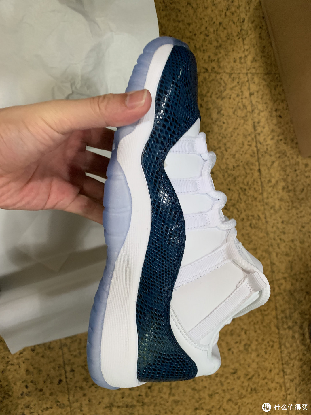 今年首个低帮配色！蓝蛇 Air Jordan 11 Low