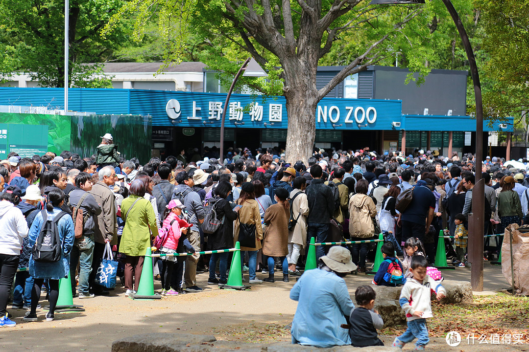 先到东京吃个油条