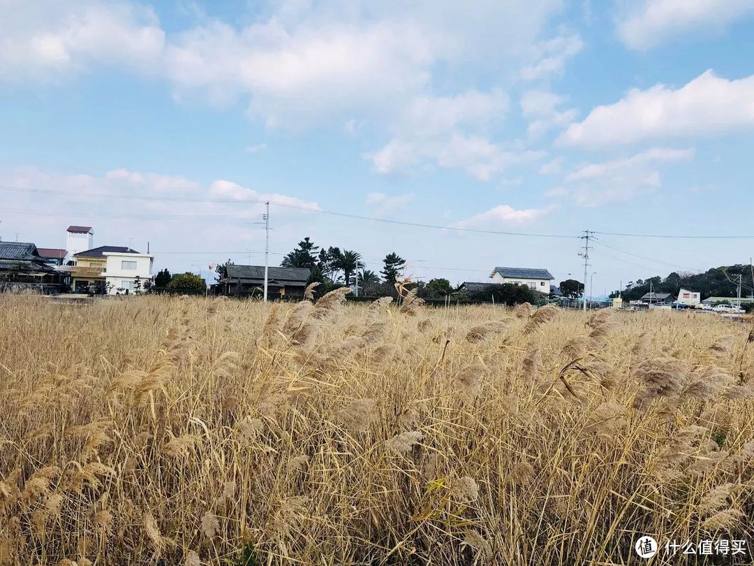 日本高松 | 超超超超超小众的日本四国の体验，只有会玩的人才去！