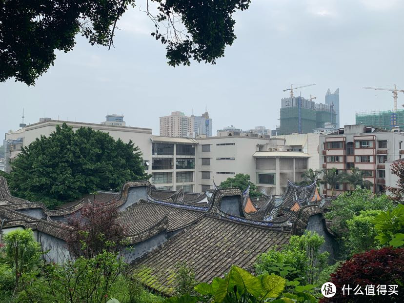 外角边缘翘起,状似马鞍