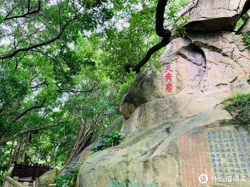 树荫庇护,一点都不热。
