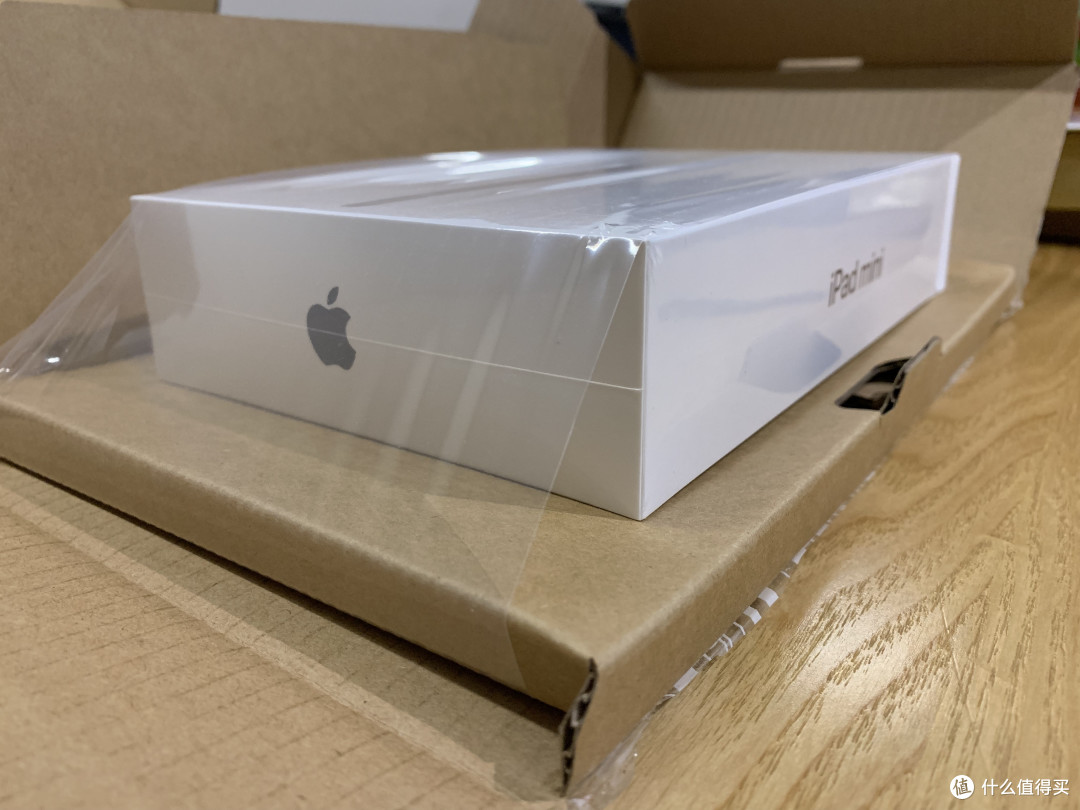 纠结怪的日常 篇二:依旧是那位辛德瑞拉—ipad mini5开箱