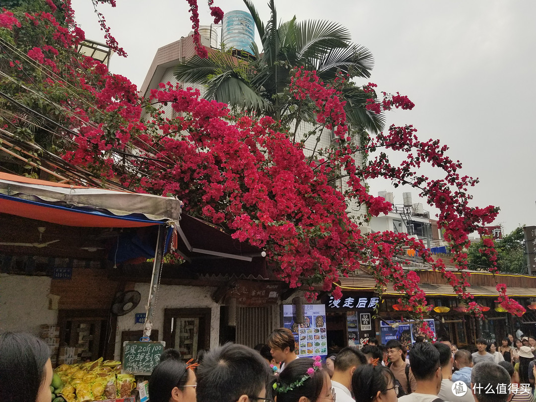 趁年轻，来一场说走就走的旅行——漫无目的厦门四日游