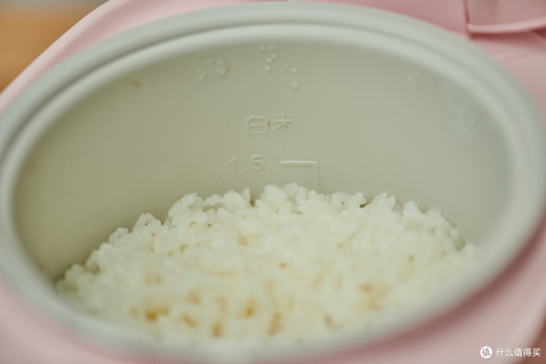 精致一人食,膳魔师朱一龙限定款迷你电饭煲开箱实测