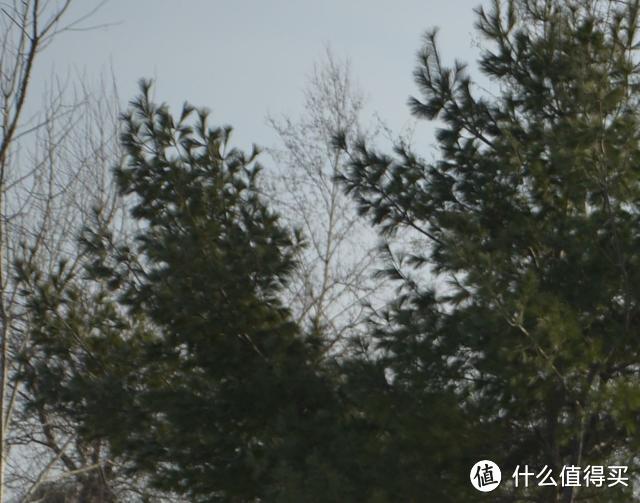 从适马105mm F1.4,来看中长焦人像大光圈镜头的设计挑战