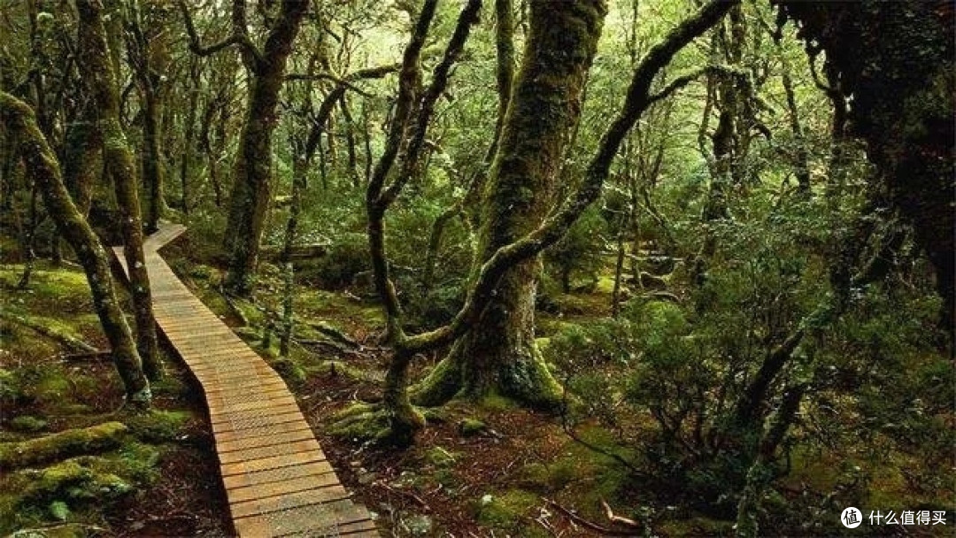 除了米兰家居展,这个硬装界地材展同样不容错过!丨2019楼楼德国行