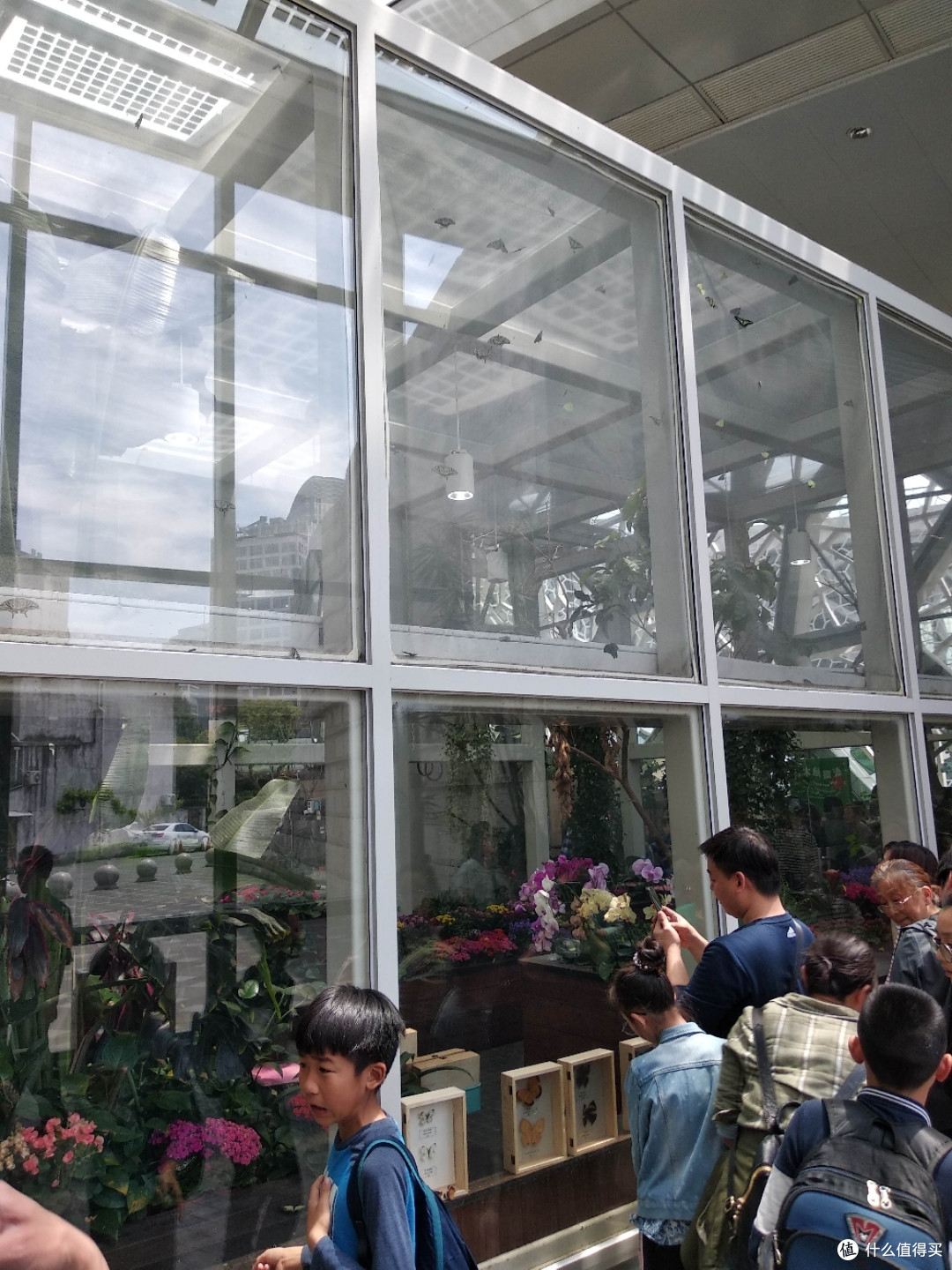 不为打卡，教育才是目的，人潮涌动的上海自然博物馆带娃参观游记