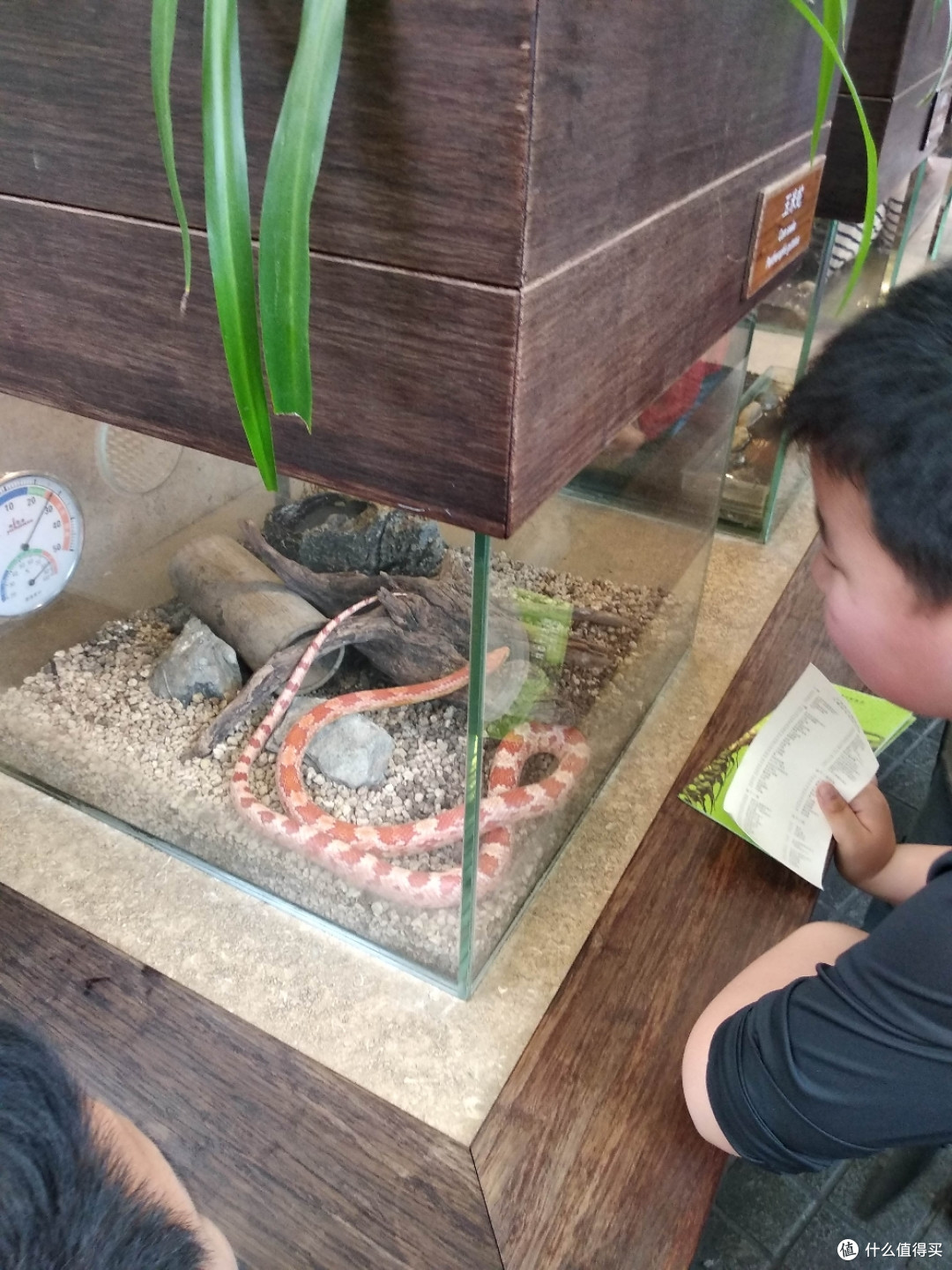 不为打卡，教育才是目的，人潮涌动的上海自然博物馆带娃参观游记