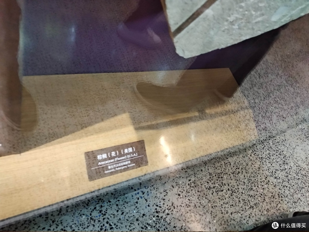 不为打卡，教育才是目的，人潮涌动的上海自然博物馆带娃参观游记