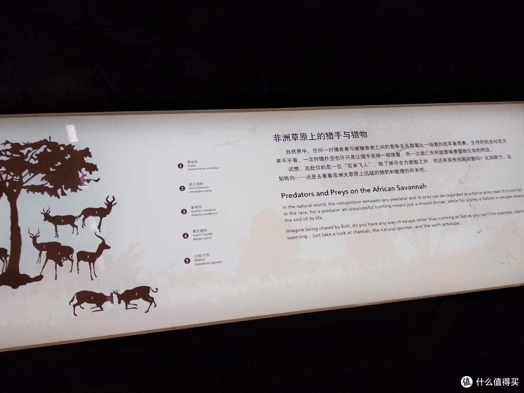 不为打卡，教育才是目的，人潮涌动的上海自然博物馆带娃参观游记
