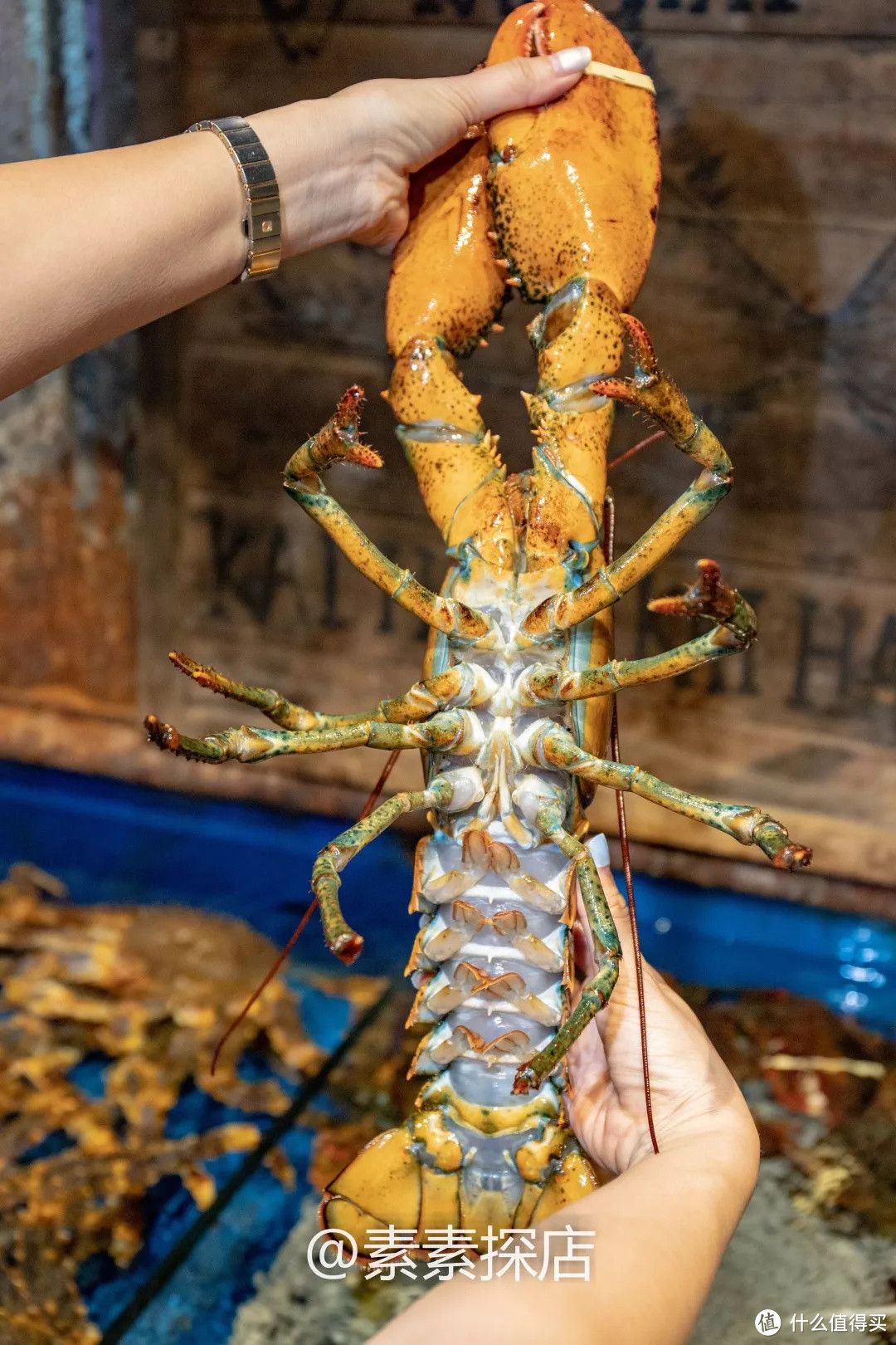 素素探店丨莫文蔚来青三天打卡两次的网红店？是仙霞岭路48号的开海啊！