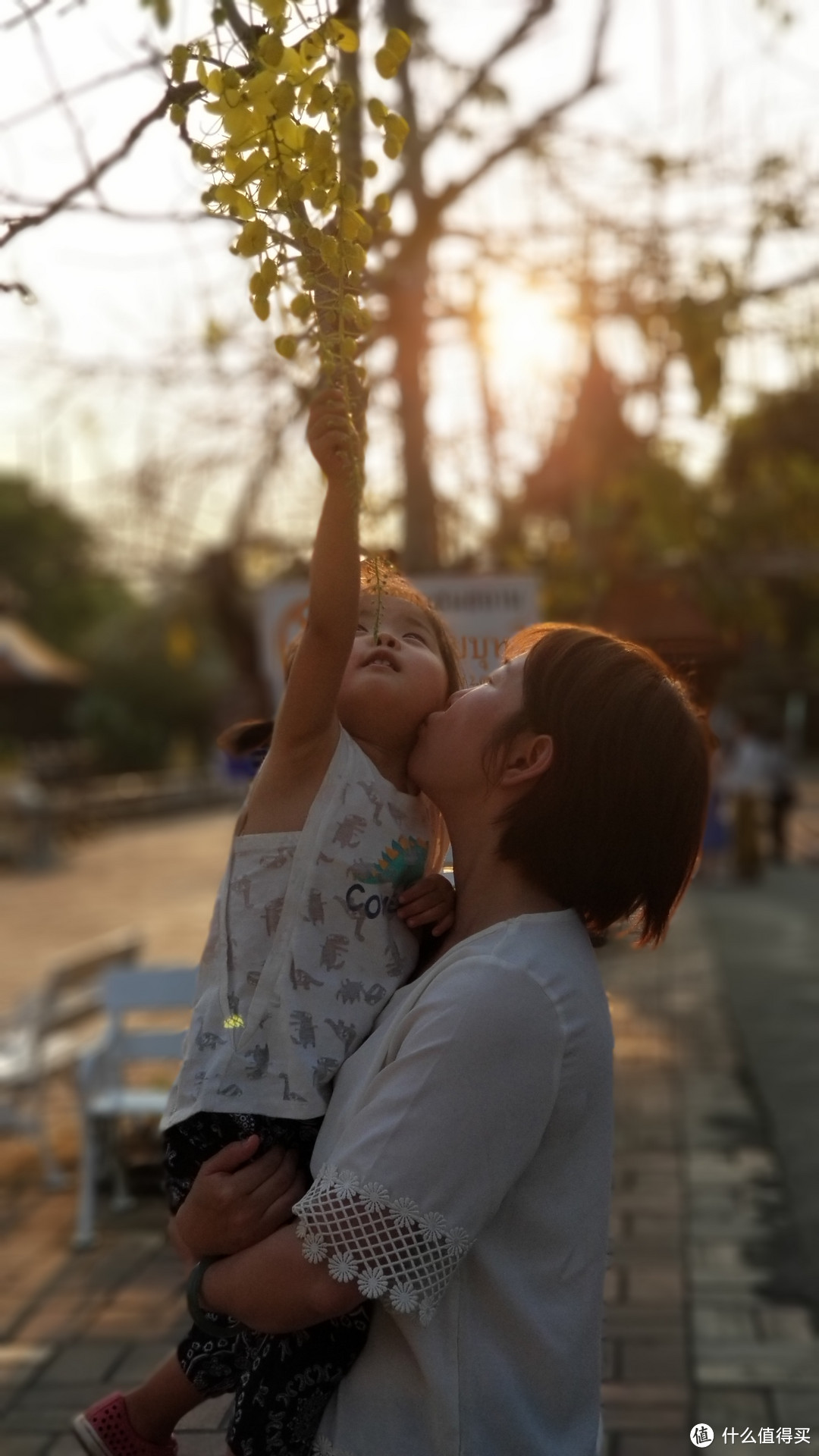 泰国普吉皮皮清迈香港四地16天吃喝玩乐亲子游---清迈篇（上）古城