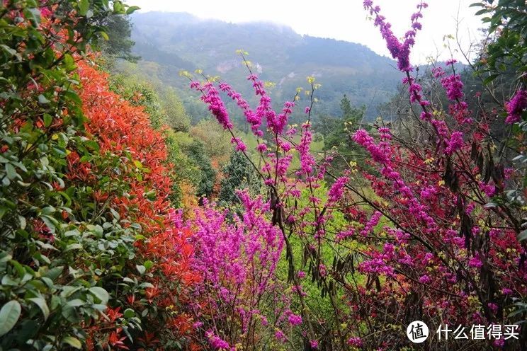 南岳衡山：秀中蕴奥，御山而飞