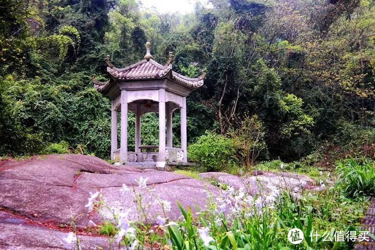 南岳衡山：秀中蕴奥，御山而飞