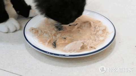 为了挑选猫爱吃的湿粮罐头,我这20天竟然都在研究猫屎