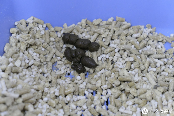 为了挑选猫爱吃的湿粮罐头,我这20天竟然都在研究猫屎