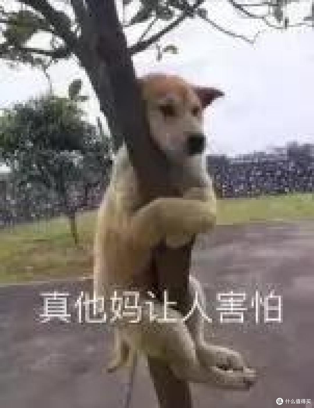 收益率高达49%的理财保险,你听说过吗?