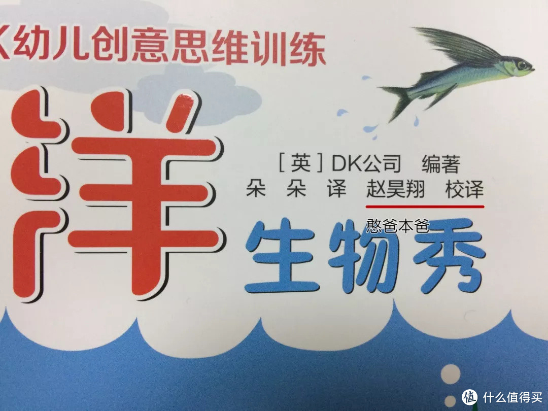 毛爸聊玩具：我买的DK，是盗版么？ | 团购纪检委