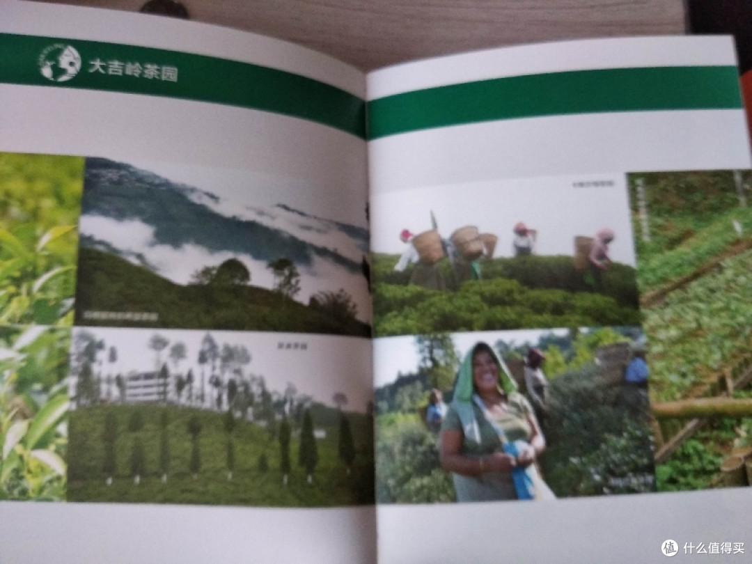 读无茶不欢,关于红茶,你所知道的仅仅还是皮毛
