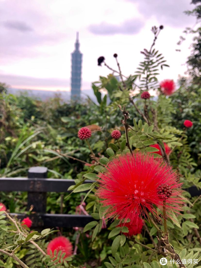 遇见.你-台湾6日自由行-游记篇