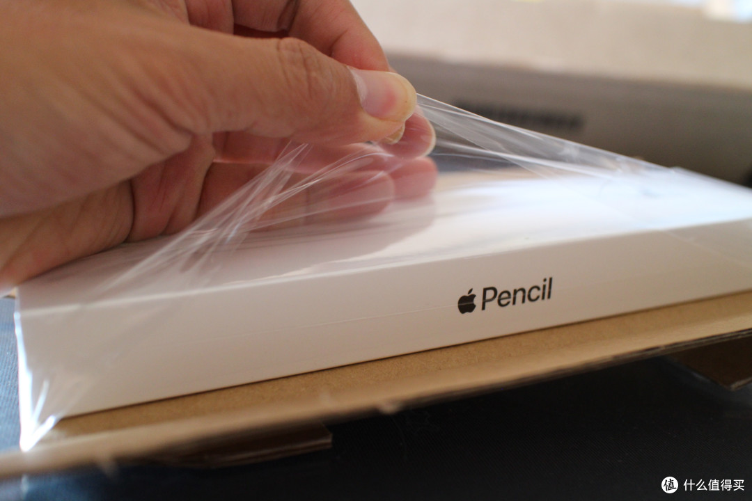 iPad mini5、一代pencil开箱与mini2简单对比