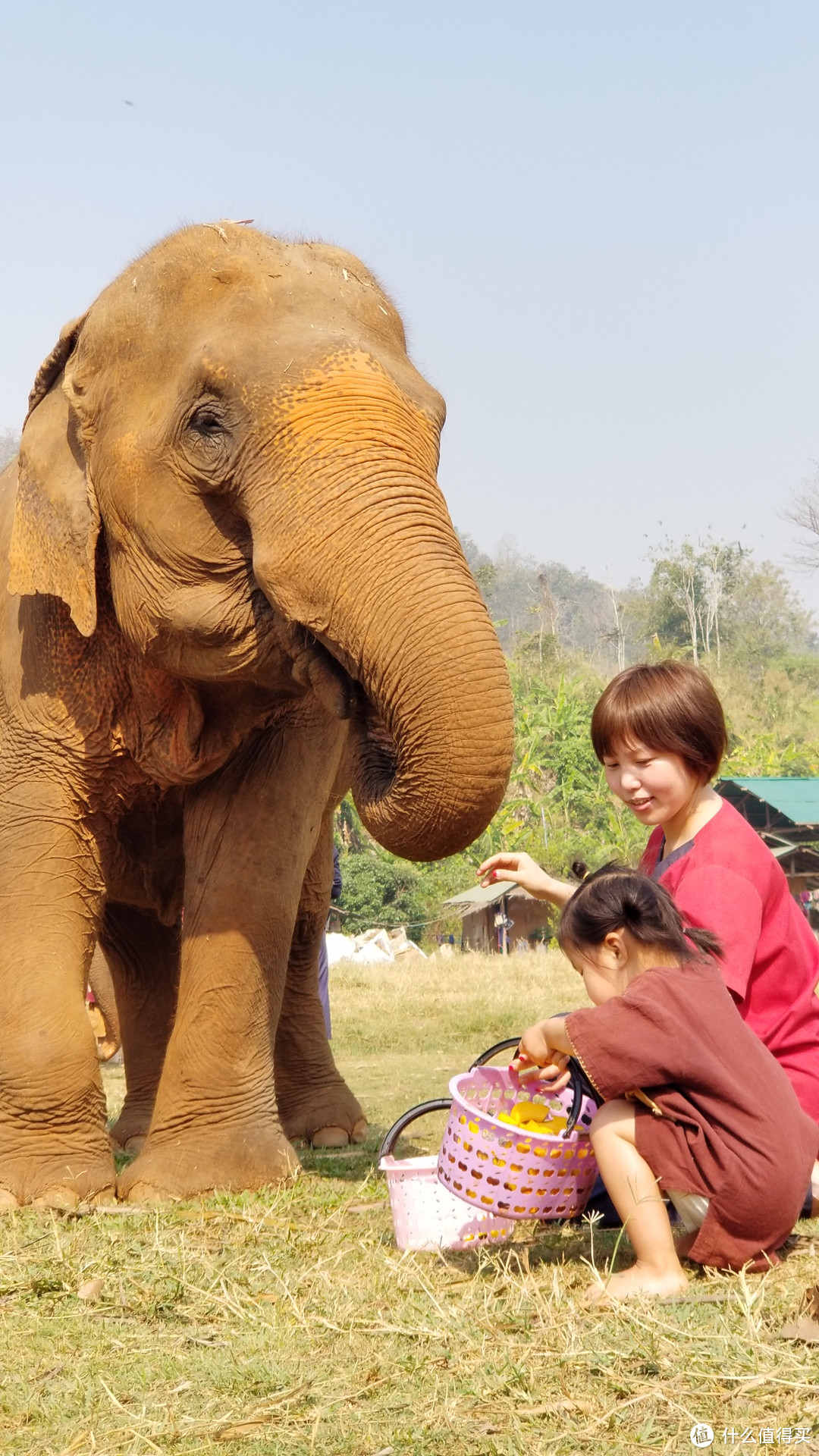 泰国普吉皮皮清迈香港四地16天吃喝玩乐亲子游---清迈篇（中）大象营 夜间动物园，亲子游不得不去