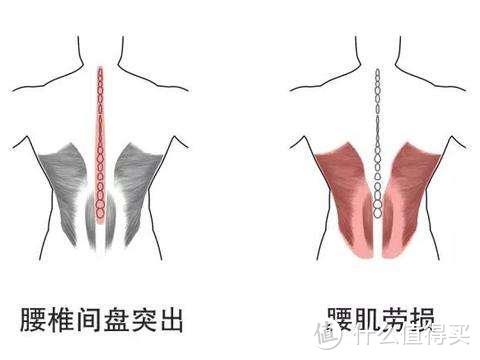 买了那么多人体工学椅，这次终于买对了！okamura（冈村） Sylphy light 人体工学椅使用体验