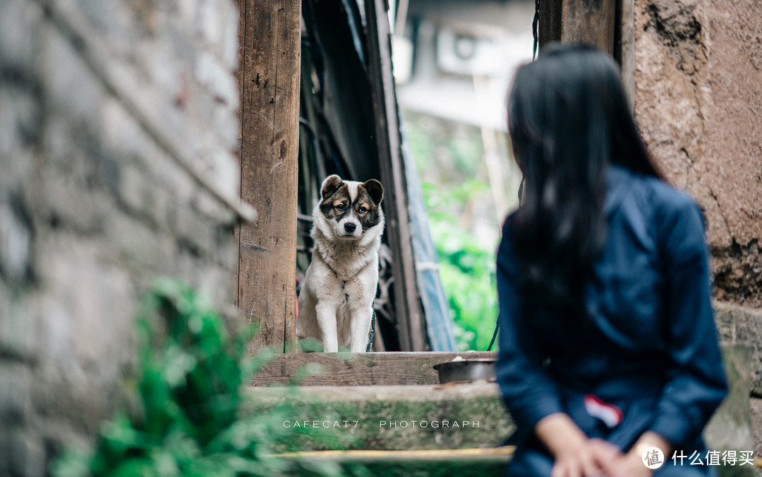 在小巷尽头的庭院门口拍照，守门的小狗怯生生的告诉我们：不能拍照……