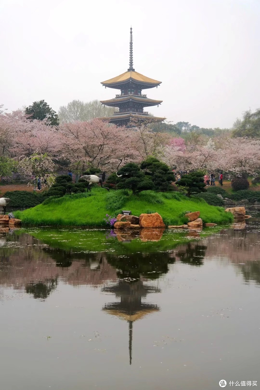 武汉印象：黄鹤白樱耀都会，湖光山色蕴楚魂