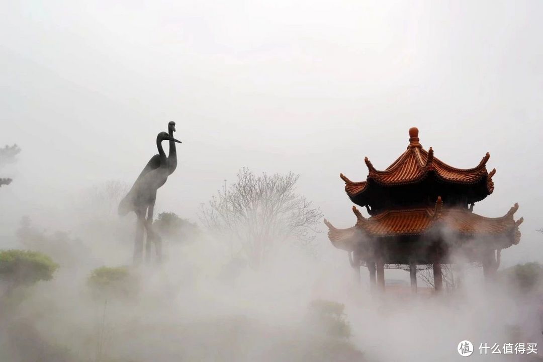 武汉印象：黄鹤白樱耀都会，湖光山色蕴楚魂