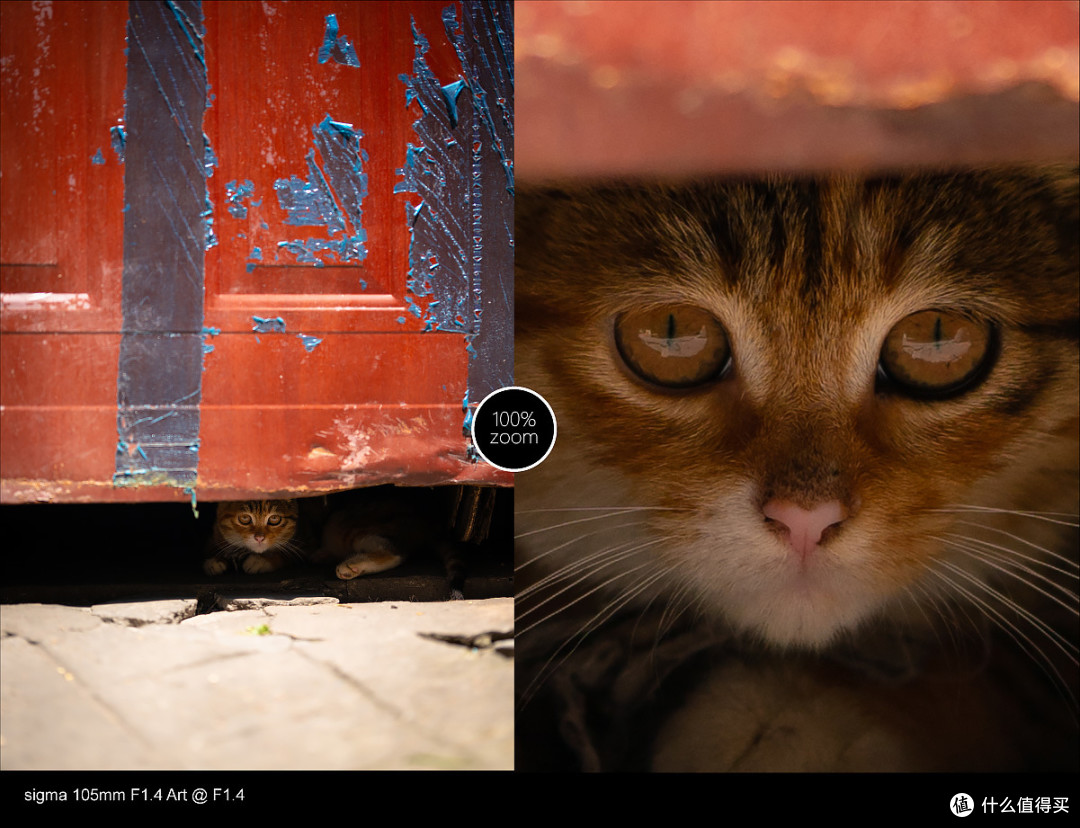 适马105mm F1.4使用总结,用Q&A的方式来呈现