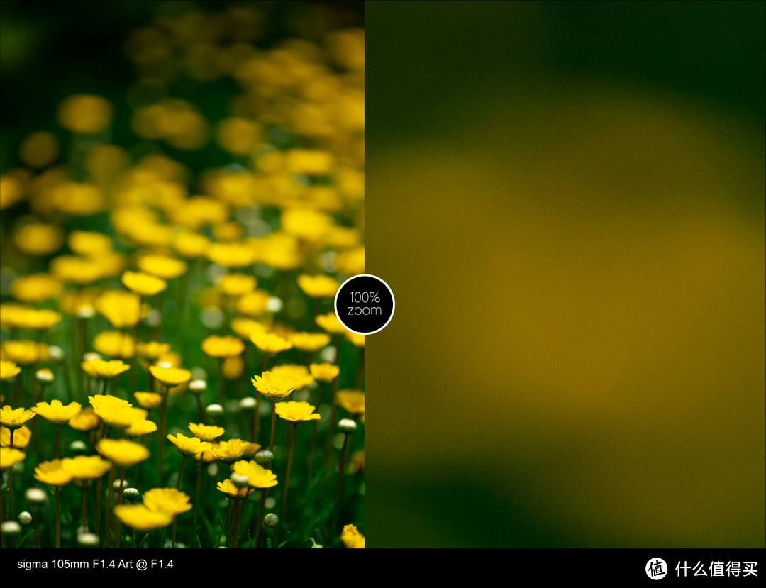 适马105mm F1.4使用总结,用Q&A的方式来呈现