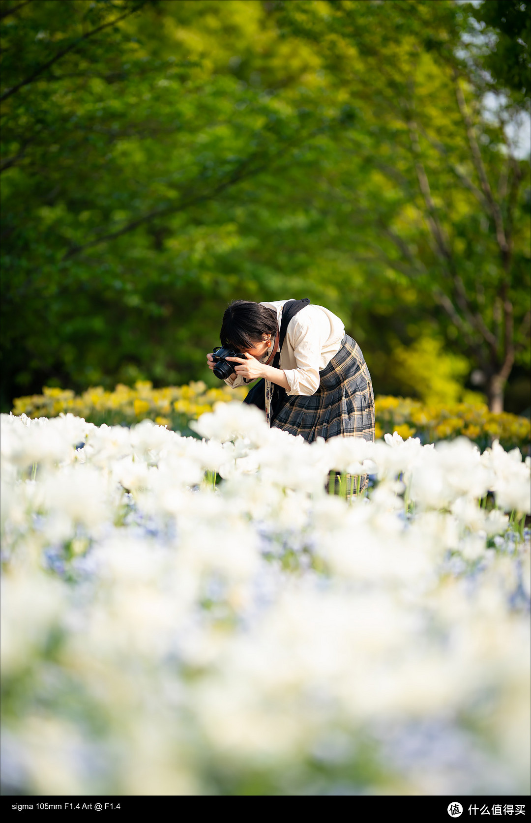 适马105mm F1.4使用总结，用Q&A的方式来呈现