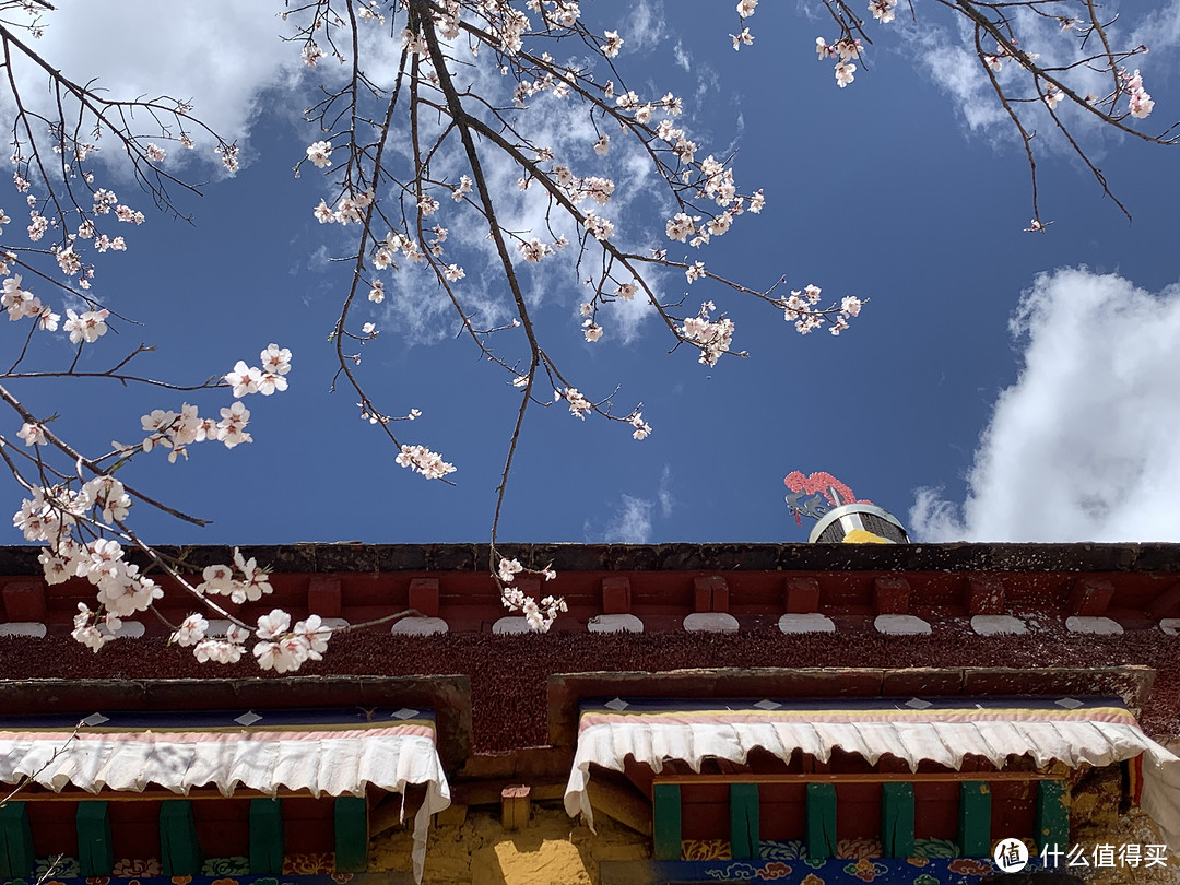 毕业旅行去哪儿—神山圣水拉萨欢迎你