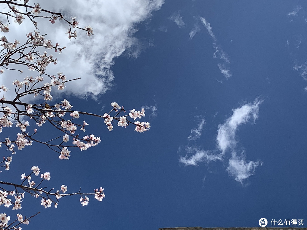 毕业旅行去哪儿—神山圣水拉萨欢迎你